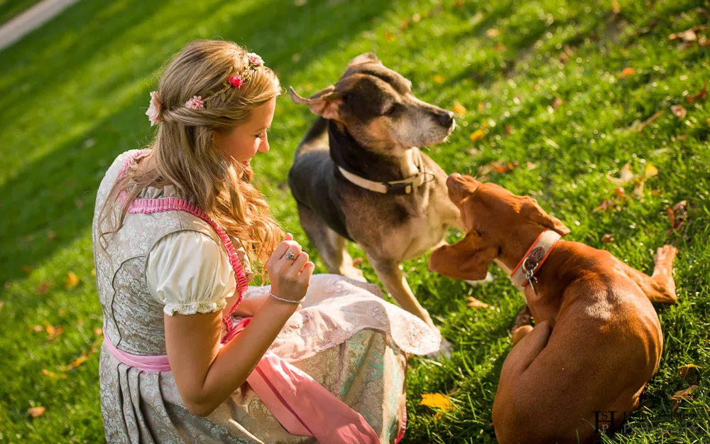 A blond German girl in a traditional dress (dirndl) playing with dogs.
