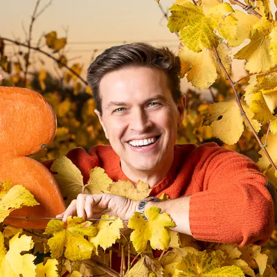 Robert Steiner, Entertainer